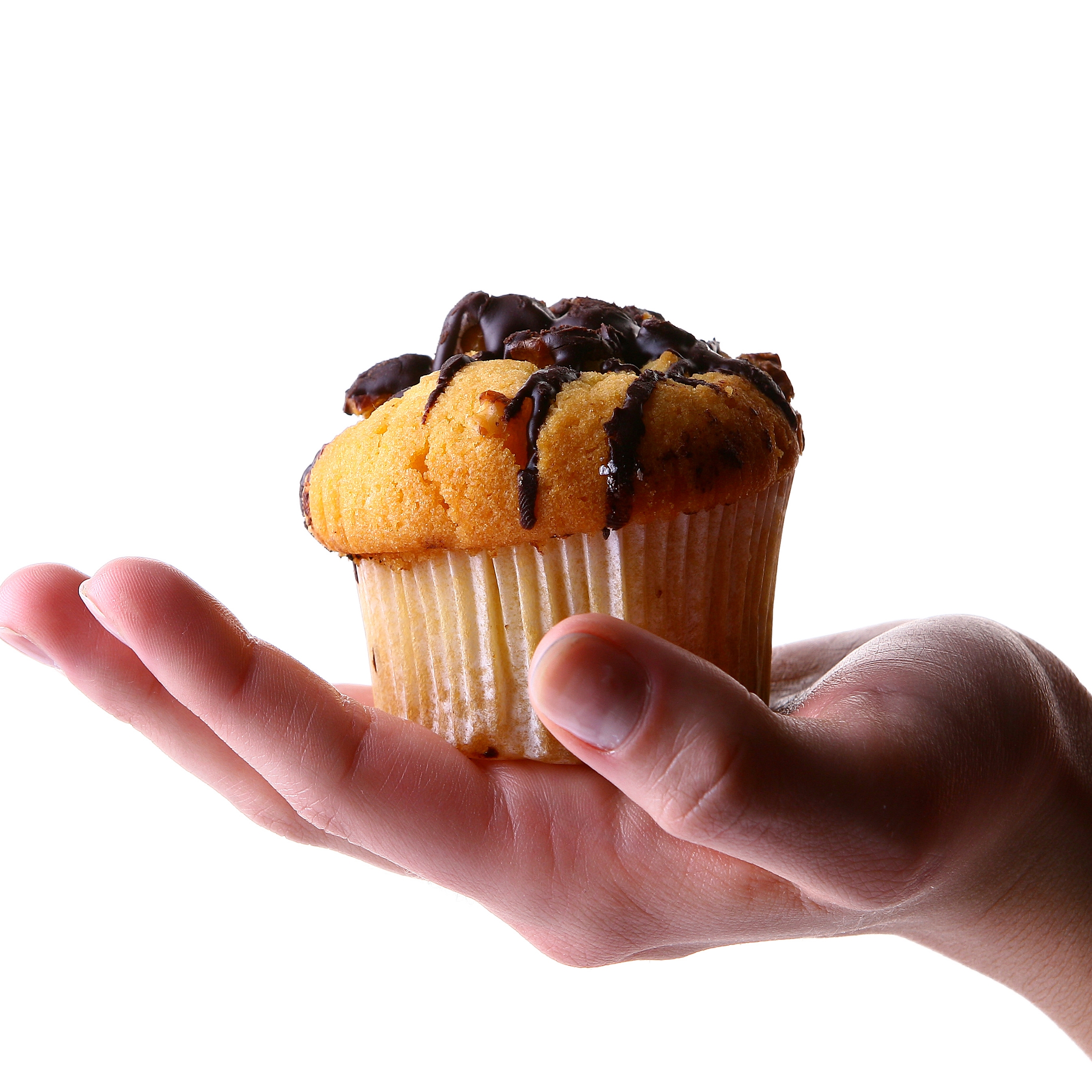 Photo d'un gâteau au chocolat. Photo de RACOOL par Freerange Stock