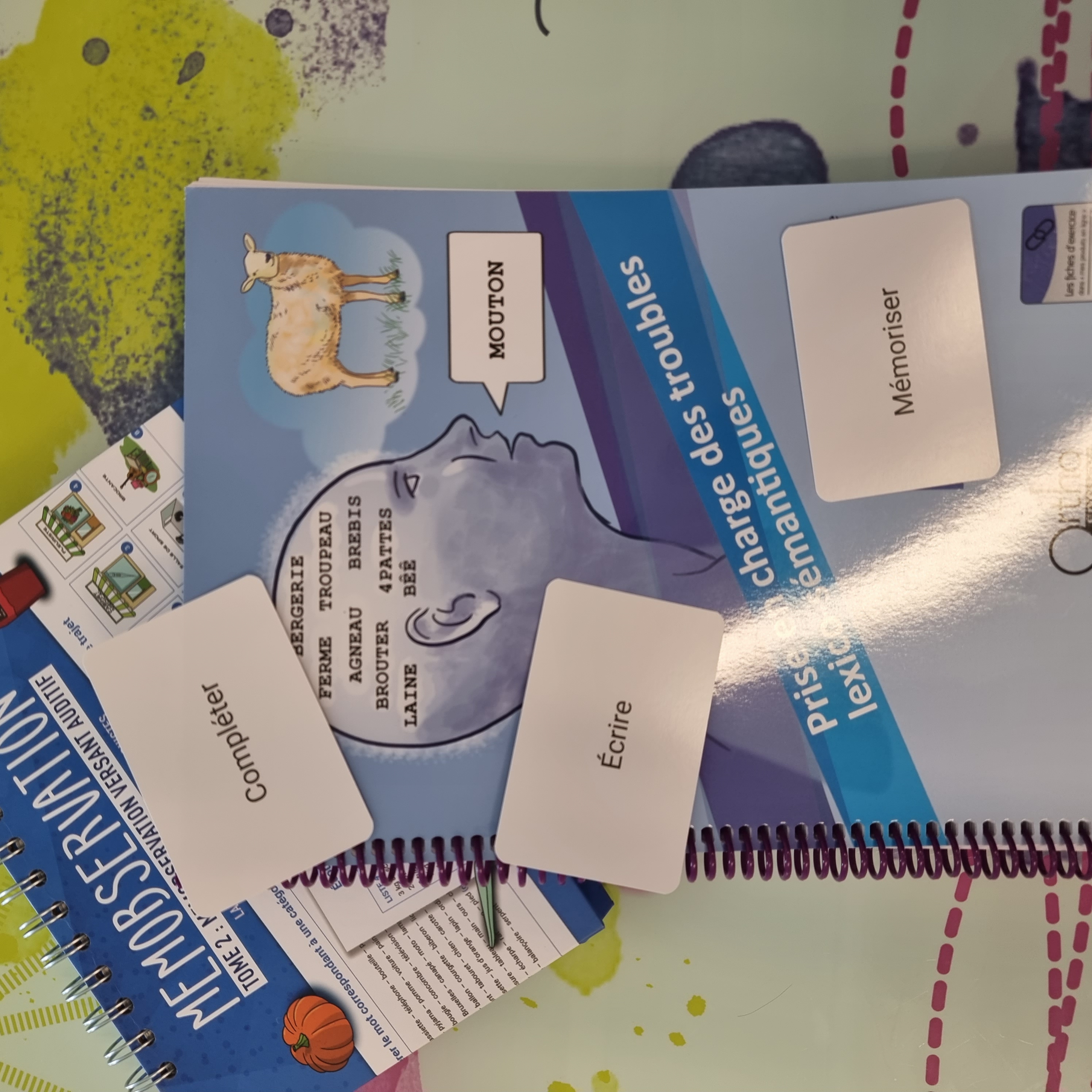 Photo livre troubles lexicosémentiques